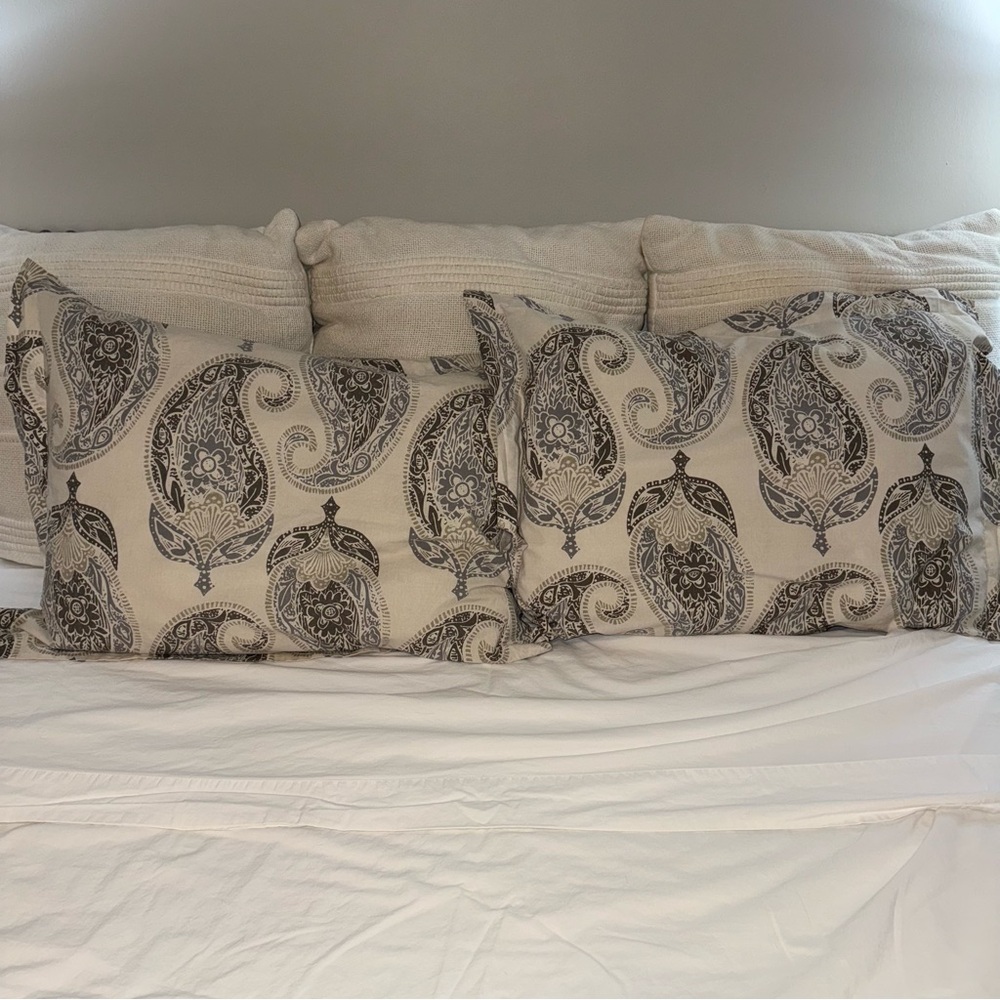 2 Pottery Barn pillow cases